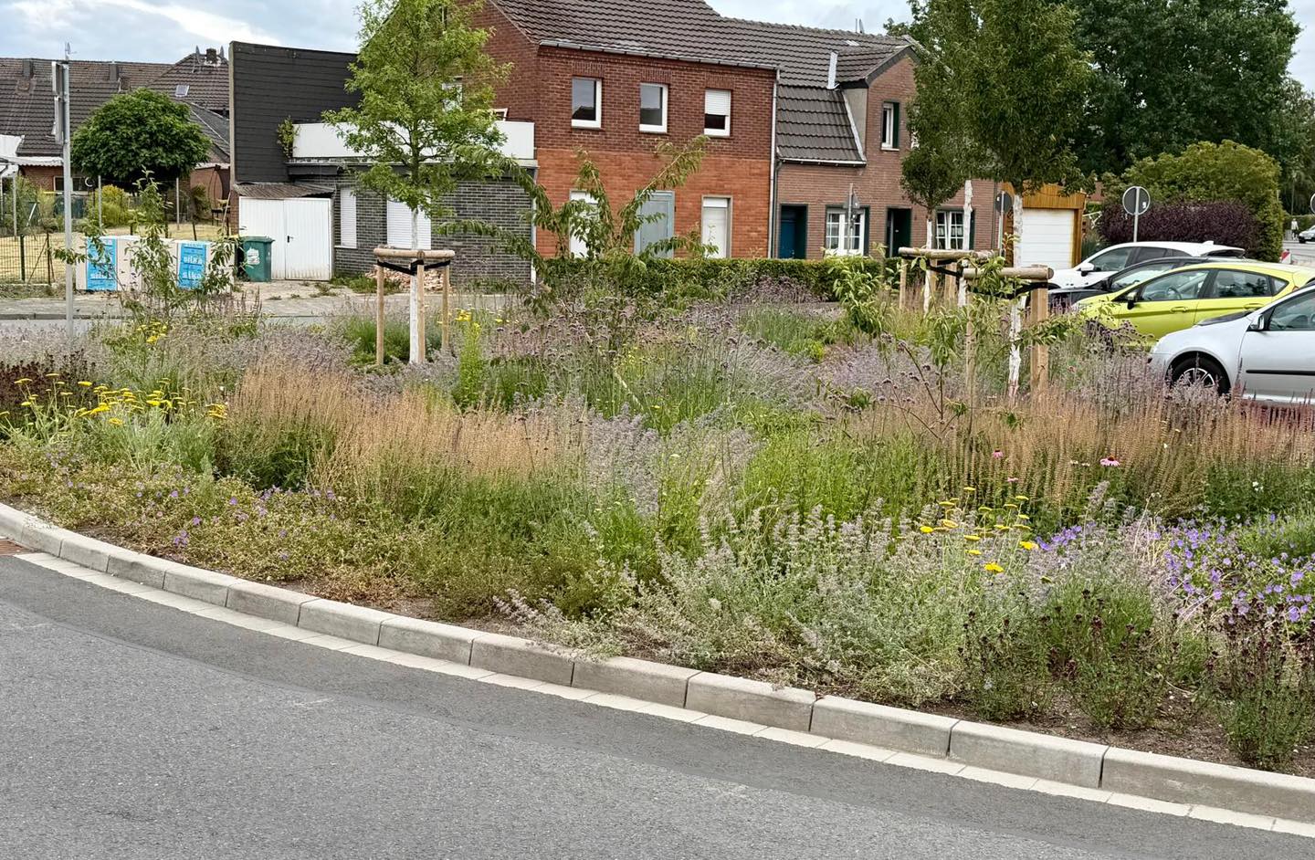 Insektenfreundlicher Vogteiplatz